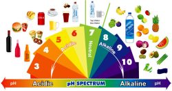 alkalinebalance